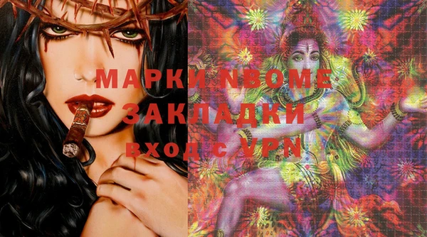 стафф Каменск-Шахтинский