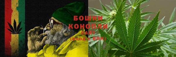 стафф Каменск-Шахтинский