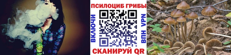 Купить  Дальнереченск  Псилоцибиновые грибы MAGIC MUSHROOMS 